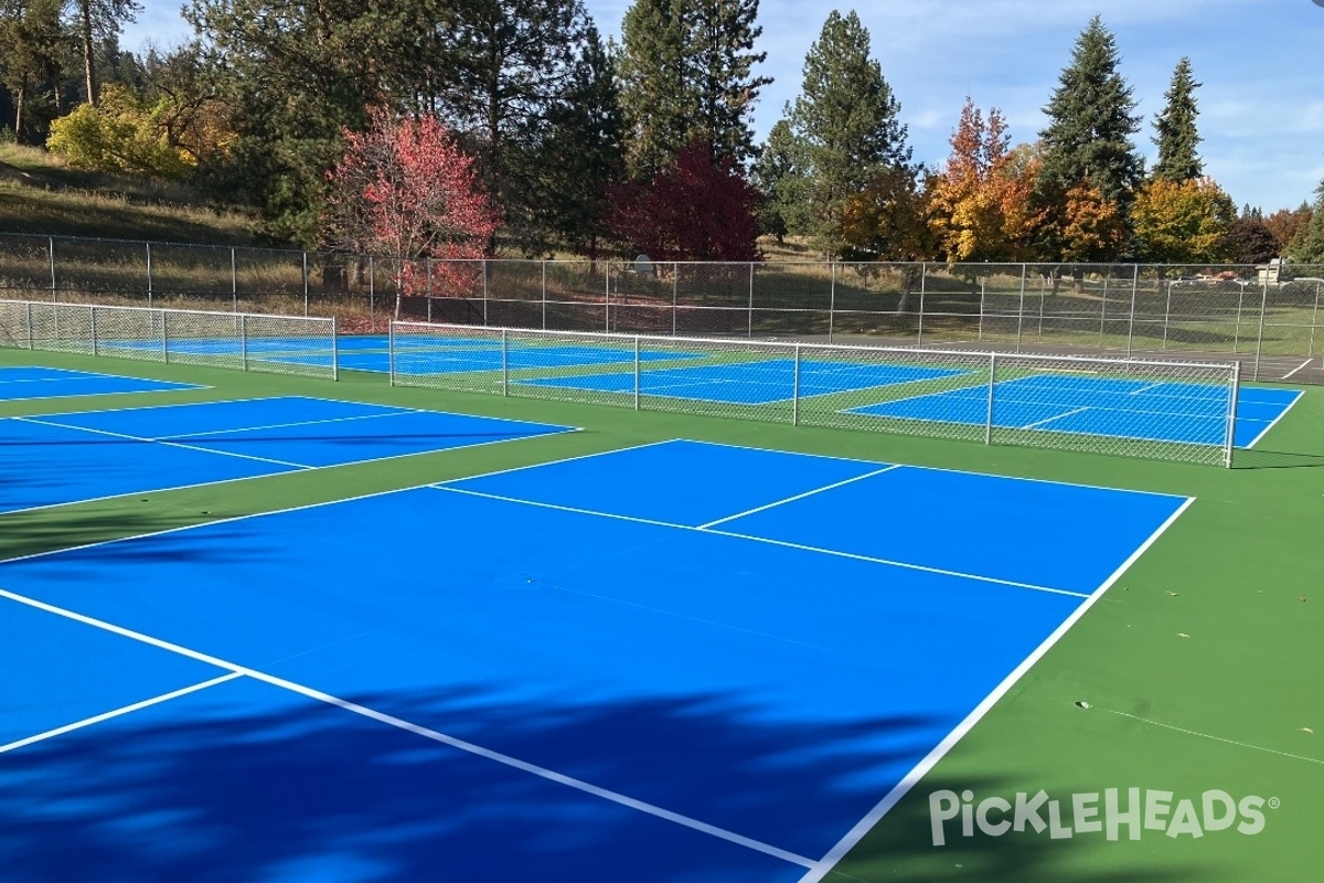 Photo of Pickleball at Holmberg Park